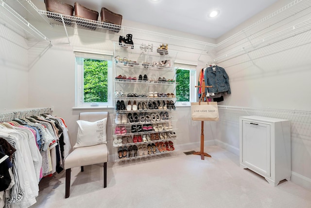 walk in closet with carpet flooring