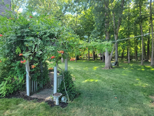 view of yard