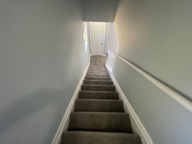 stairs featuring carpet floors