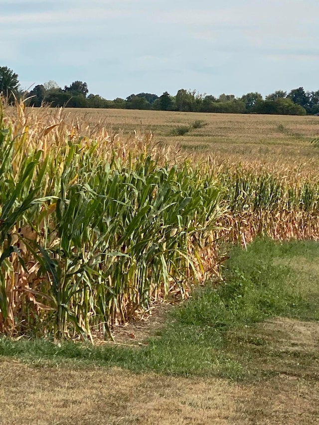 view of local wilderness featuring a rural view