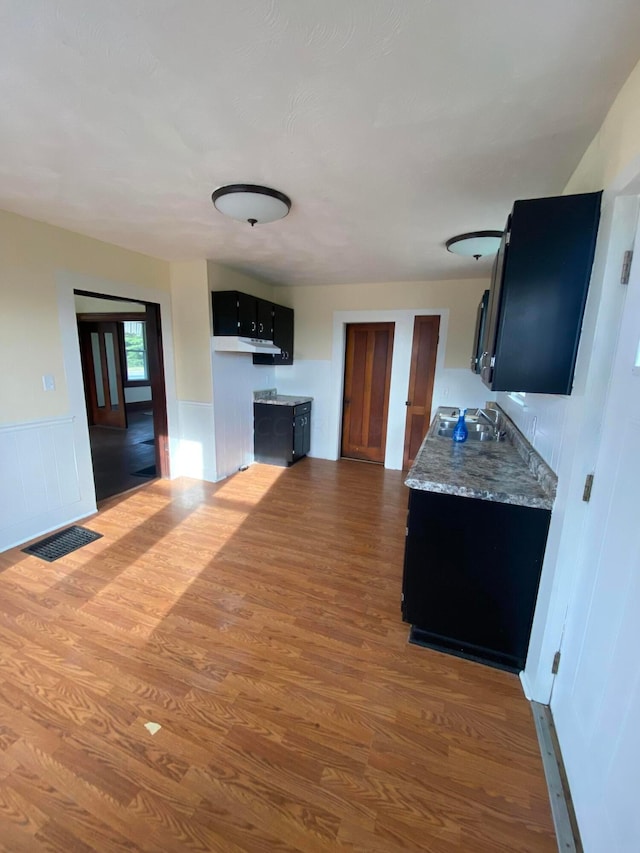 kitchen featuring dark wood-type flooring and sink