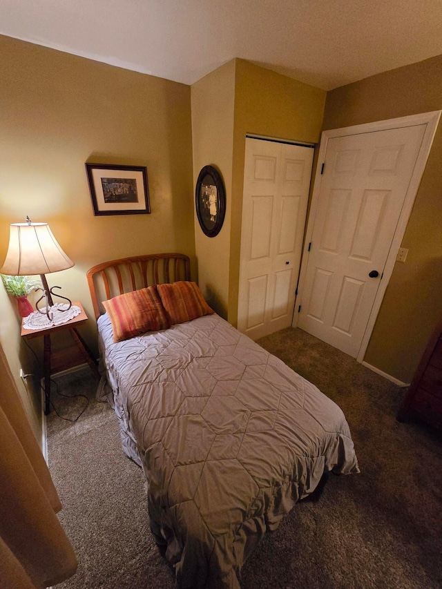 bedroom featuring carpet floors and a closet