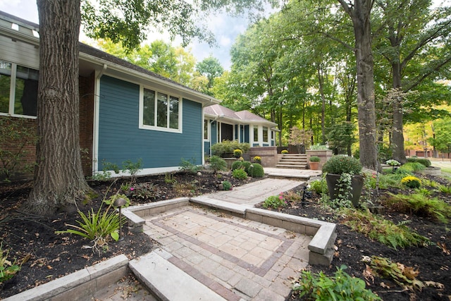 view of yard with a patio area