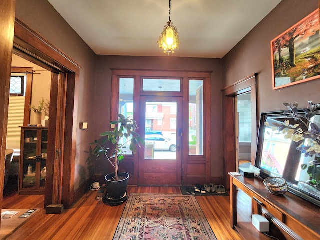 foyer entrance with wood-type flooring