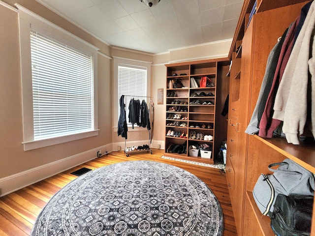 spacious closet featuring wood-type flooring