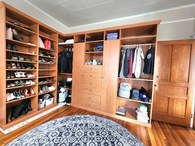 walk in closet featuring hardwood / wood-style flooring