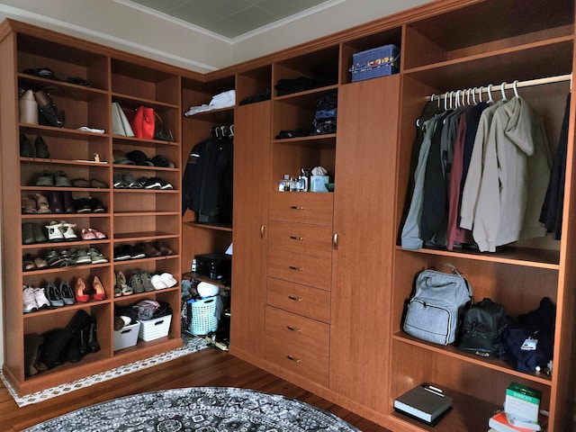 spacious closet with dark hardwood / wood-style floors