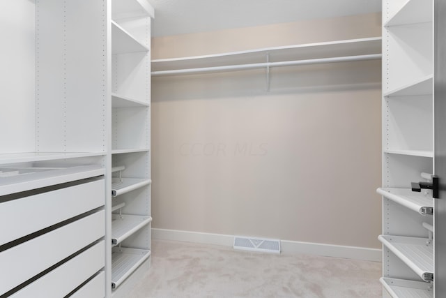 walk in closet with light carpet