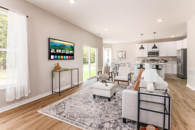 living room with light wood-type flooring