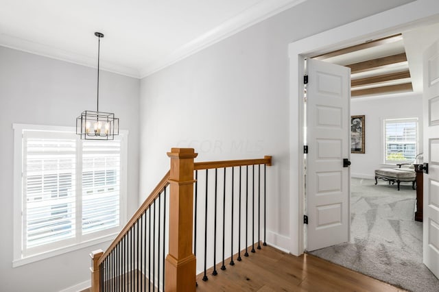 corridor with an inviting chandelier, crown molding, and hardwood / wood-style flooring