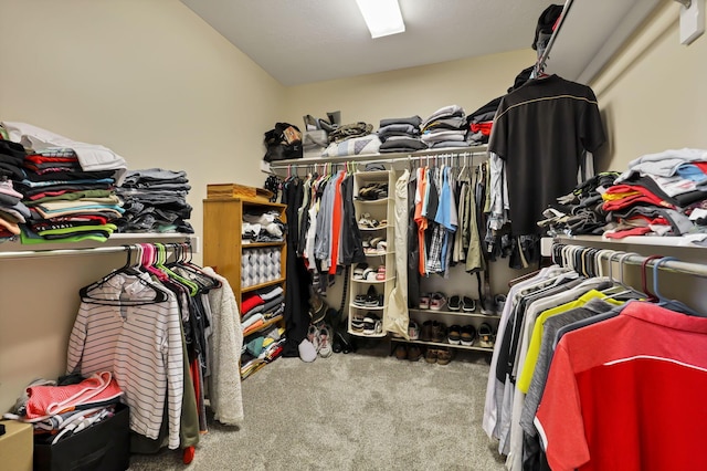 spacious closet featuring carpet