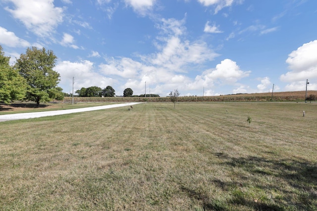 view of yard featuring a rural view