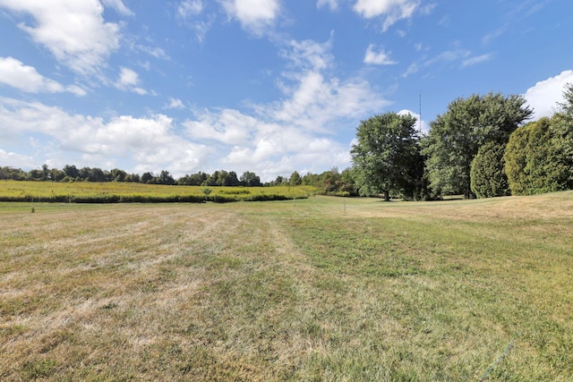 view of yard featuring a rural view