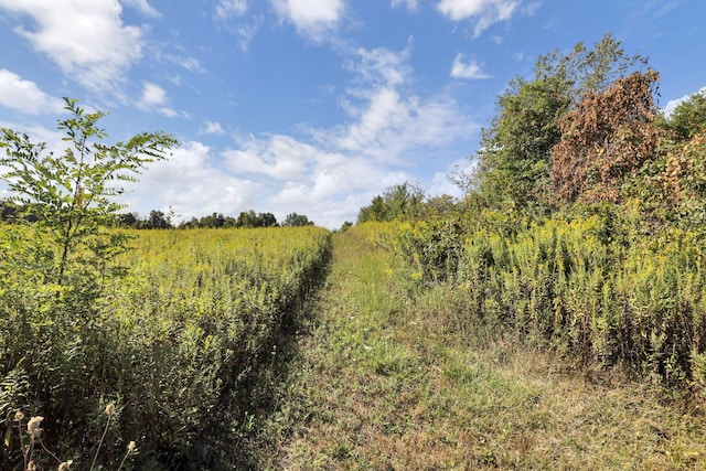 view of landscape