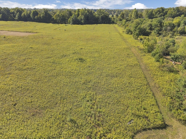 aerial view with a rural view