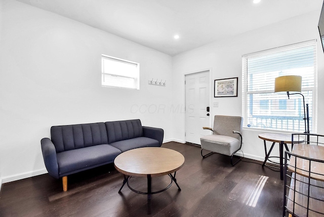 living room featuring dark wood-type flooring