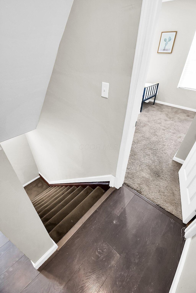 staircase with carpet flooring