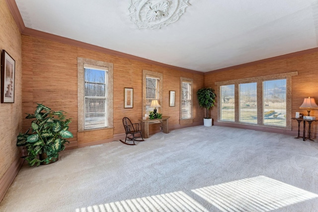 interior space featuring carpet flooring