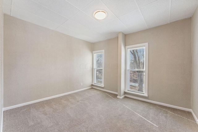 empty room featuring a paneled ceiling and light colored carpet