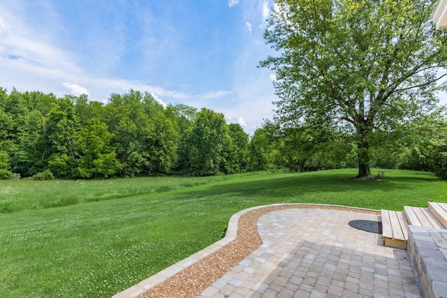 view of yard featuring a patio area