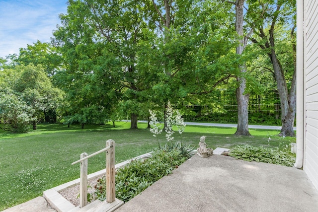 view of yard with a patio area