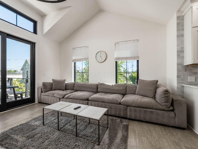 living room with plenty of natural light and light hardwood / wood-style floors