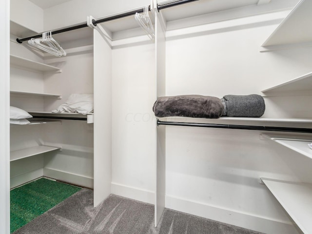 walk in closet with carpet