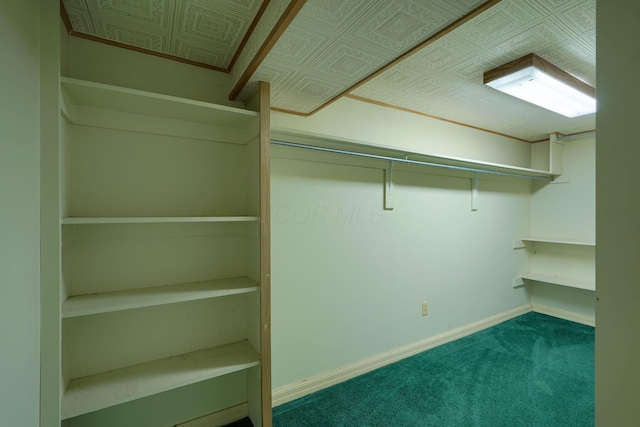 spacious closet with carpet flooring