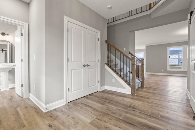 entrance foyer with a barn door, light hardwood / wood-style floors, and sink