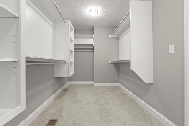 spacious closet featuring light colored carpet