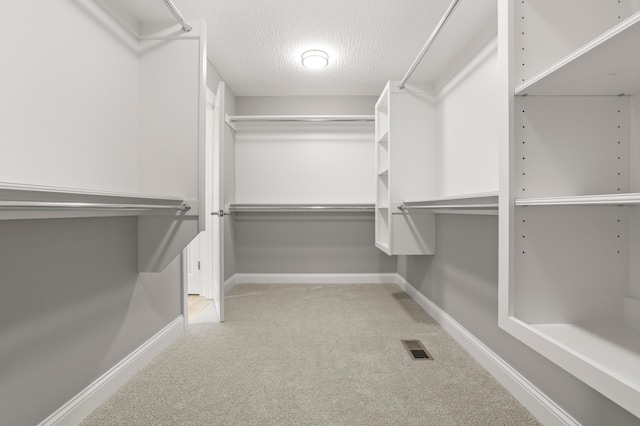 spacious closet with carpet