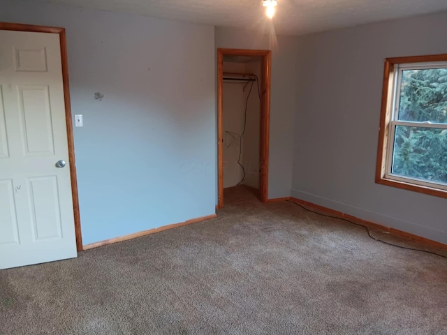 unfurnished room featuring carpet