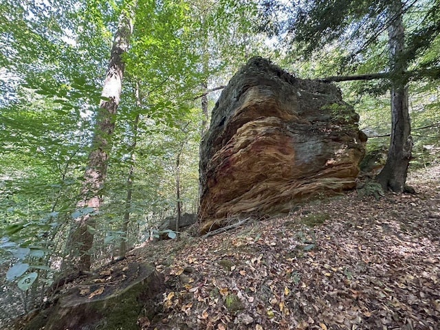 view of landscape