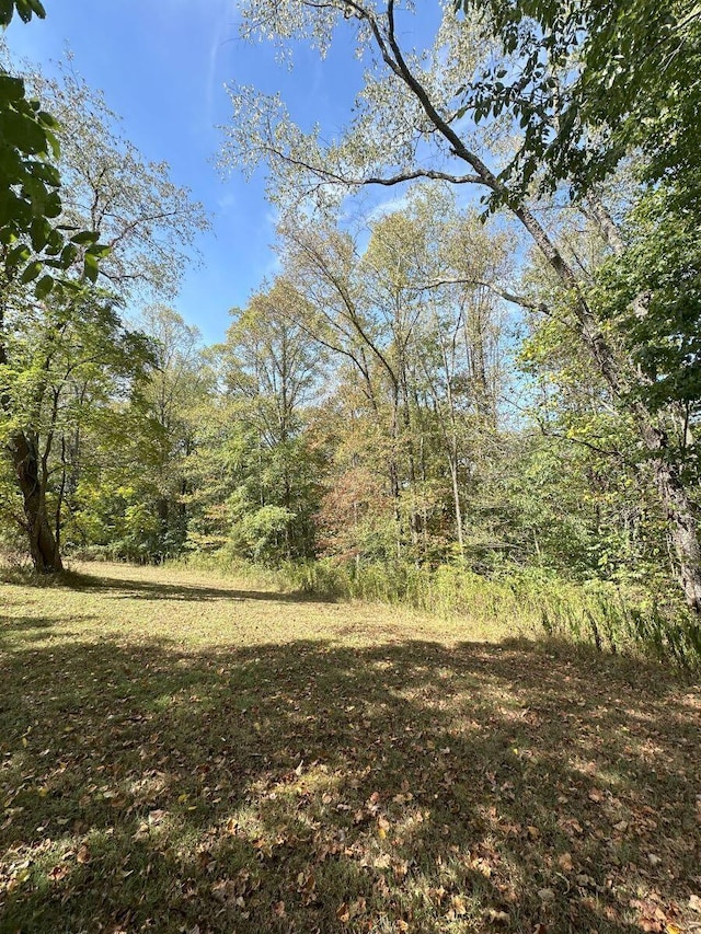 view of local wilderness