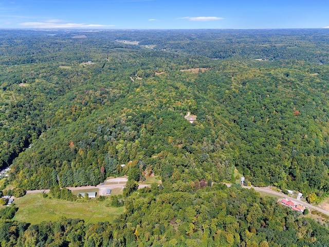 birds eye view of property with a view of trees