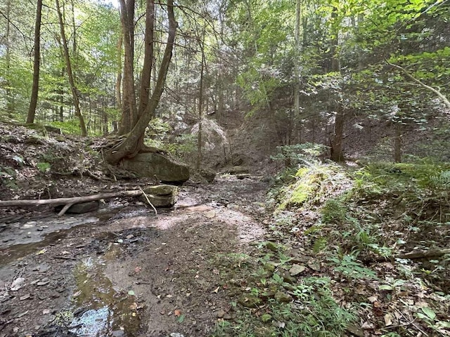 view of landscape featuring a forest view