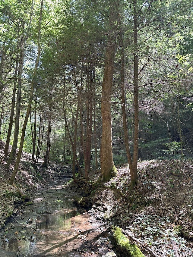 view of local wilderness featuring a forest view