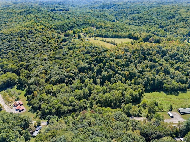 birds eye view of property with a forest view