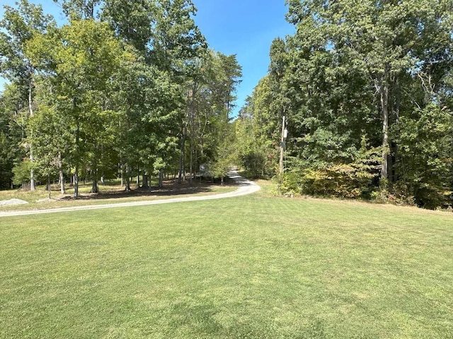 view of community with a lawn