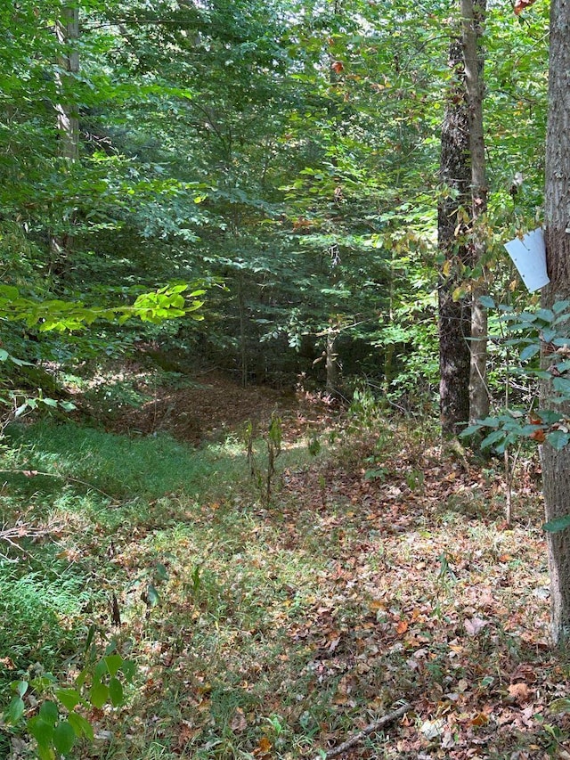 view of local wilderness with a view of trees