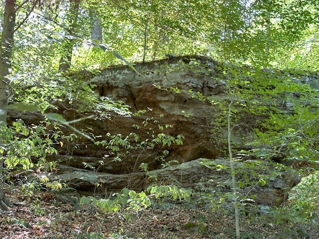 view of local wilderness