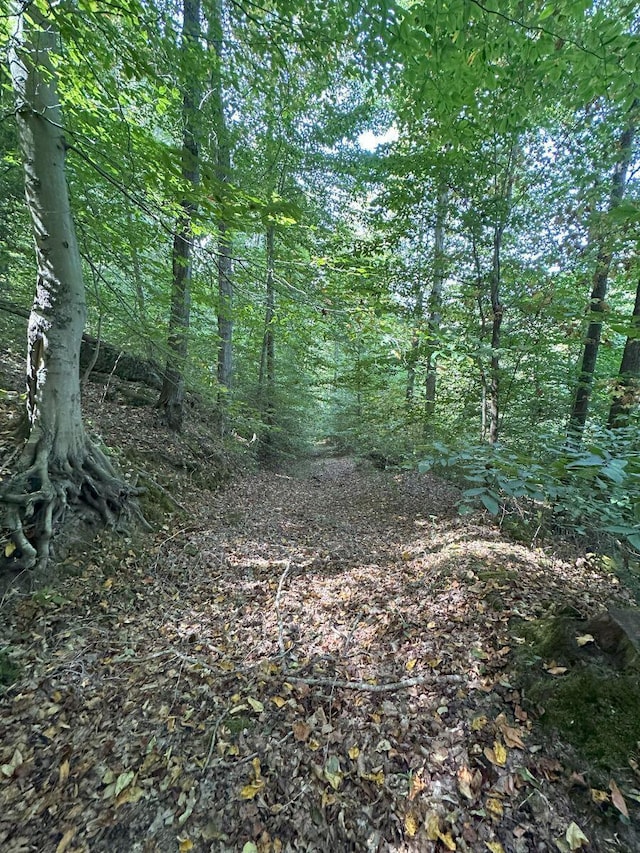 view of nature with a wooded view