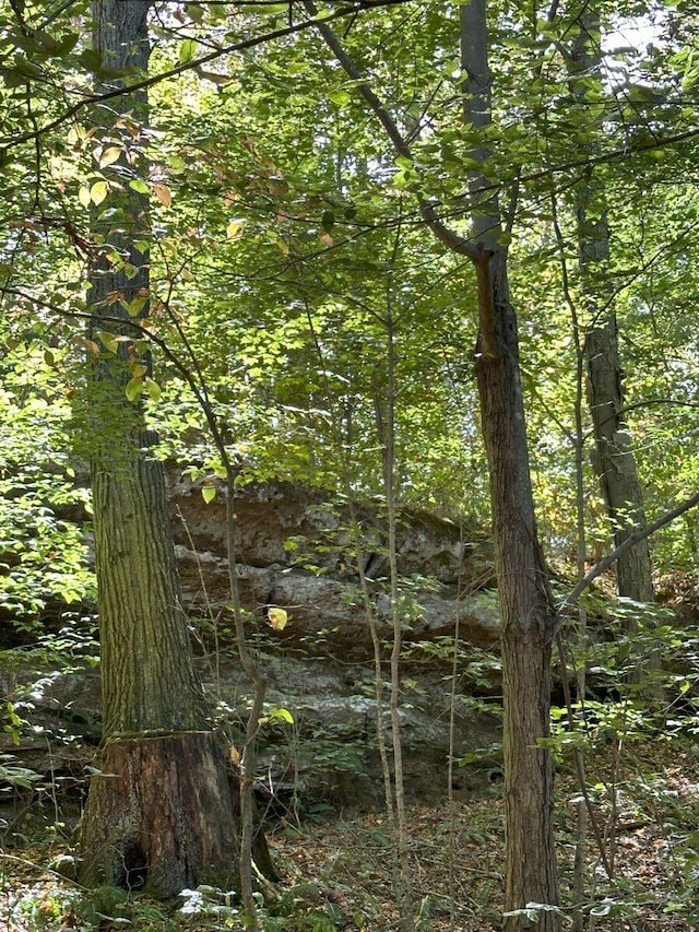 view of landscape featuring a forest view