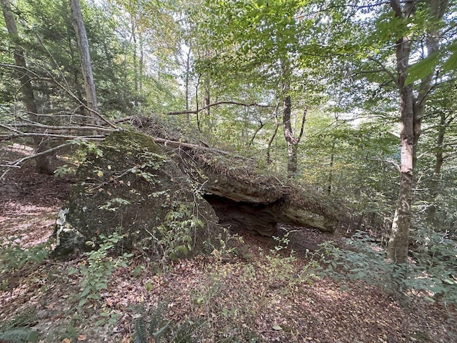 view of local wilderness with a view of trees