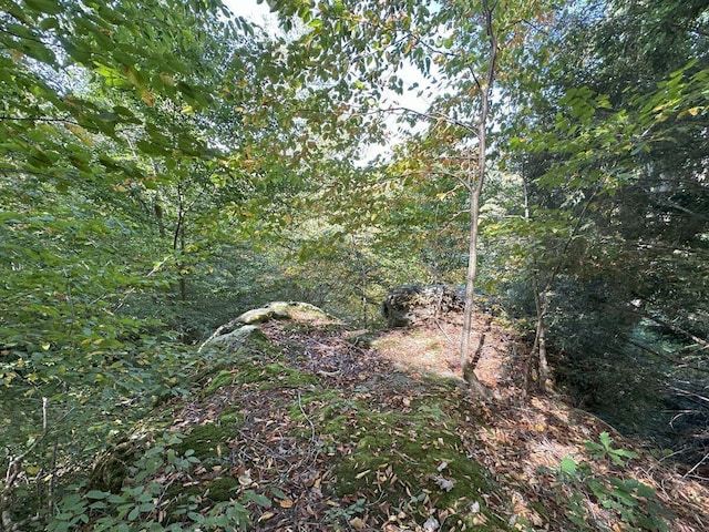 view of nature featuring a view of trees