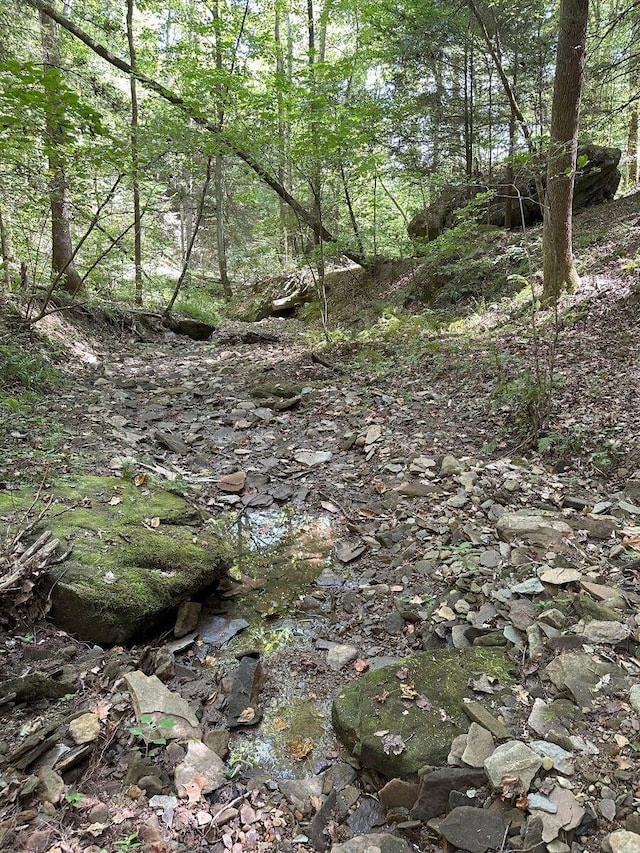 view of local wilderness featuring a wooded view