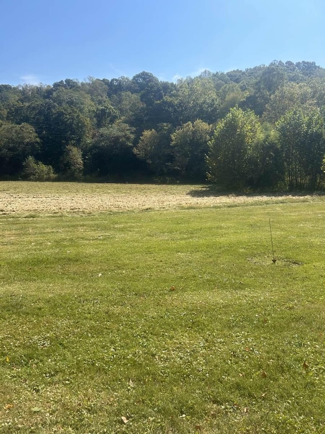 view of yard with a rural view and a wooded view