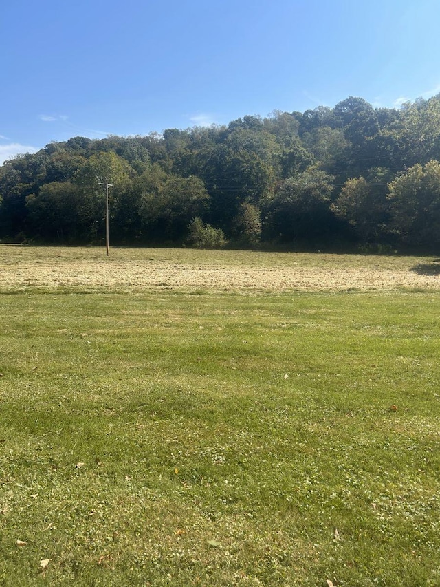 view of yard with a rural view and a wooded view