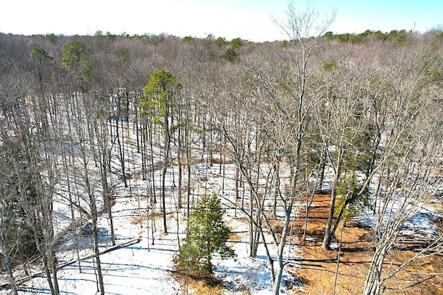 birds eye view of property with a wooded view