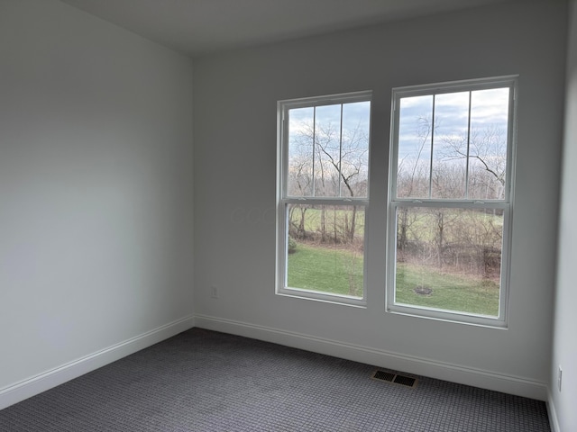 spare room featuring plenty of natural light and carpet floors